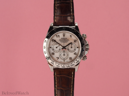 Rolex Daytona 16519 Rose Mother of Pearl Dial Complete Set