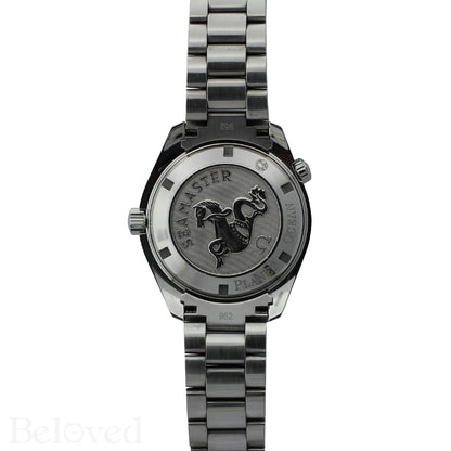 Omega Seamaster Planet Ocean 2209.50.00 Image 3