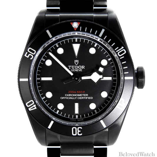 Tudor Black Bay 79230DK