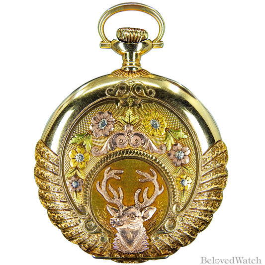 Elgin Multicolor Gold Hunter Case 12S
